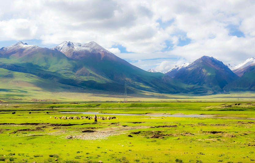 扒一扒:發電機組如何在高原上使用?