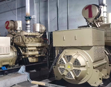 西北燃?xì)獍l(fā)電項(xiàng)目（3臺(tái)900KW10.5KV1000轉(zhuǎn)6極高壓發(fā)電機(jī)）